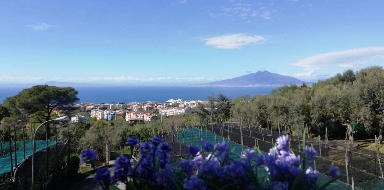 Sorrento Dolce Casa Daire Dış mekan fotoğraf